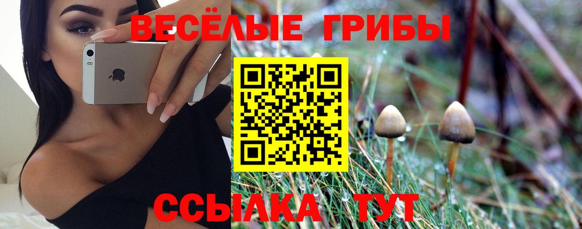 Псилоцибиновые грибы MAGIC MUSHROOMS  Вход с VPN  Чехов 